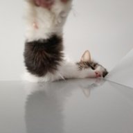 СоняГараиева